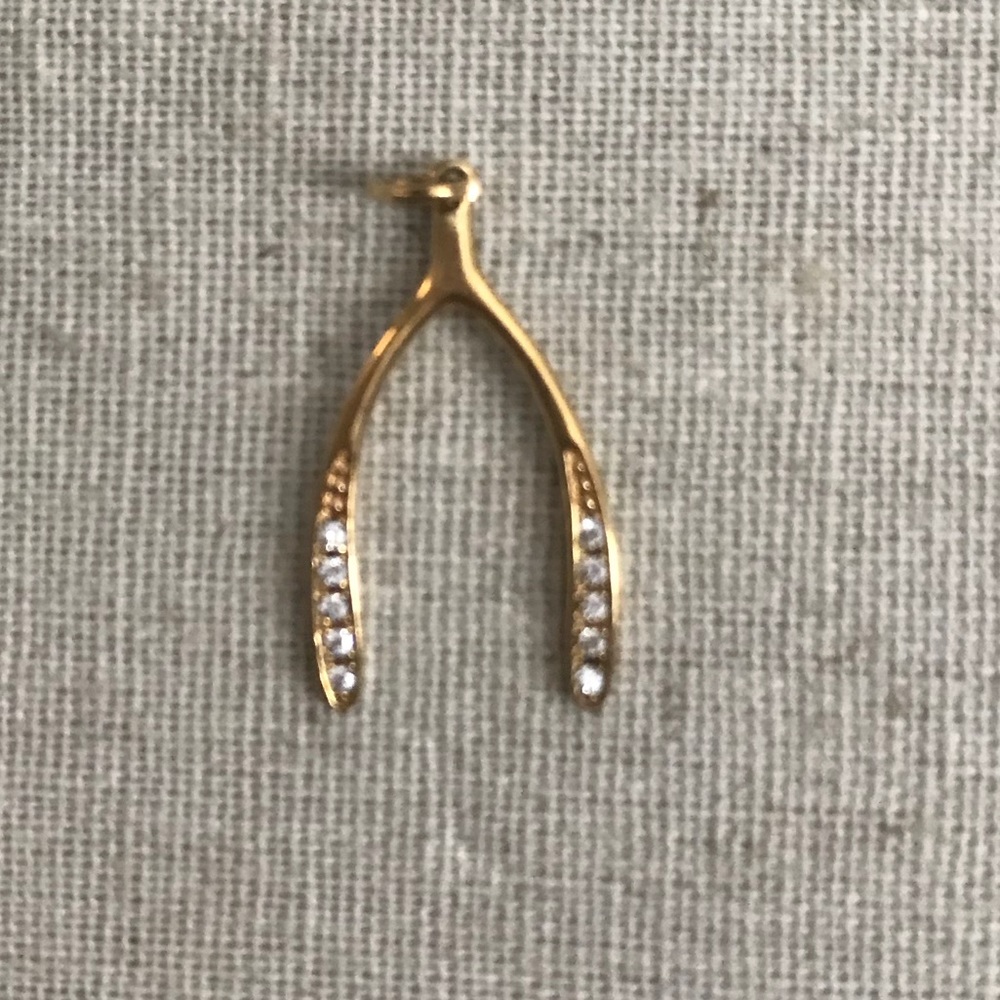 Stella & Dot Wishbone charm